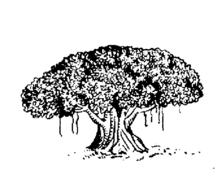 चित्र:Indian Election Symbol Tree.png