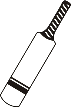 PTI Symbol Elections.png