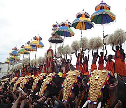 ThrissurPooram-Kuda.jpg