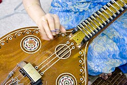 Veena (close view).jpg