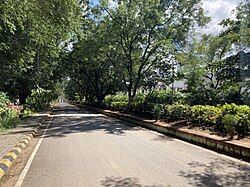 Veterinary University Road.jpg