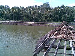 45229-001.jpg