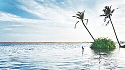 Poovar Kerala.jpg