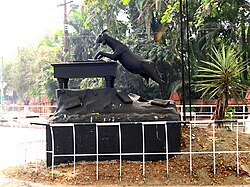 Pathummayude Aadu.jpg